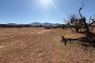 5706 S Kino Rd, Hereford, AZ 85615 - Photo 16