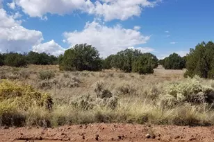 3908 71A Hidden Ranch Rd, Snowflake, AZ 85937 - Photo 1