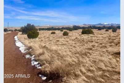 41 Antelope Avenue #464, Concho, AZ 85924 - Photo 6