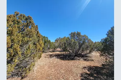 73 County Rd 8082 -- #-, Concho, AZ 85924 - Photo 8