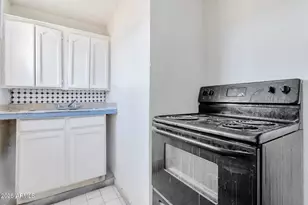 313 W Jones Ave, Phoenix, AZ 85041 - Photo 24