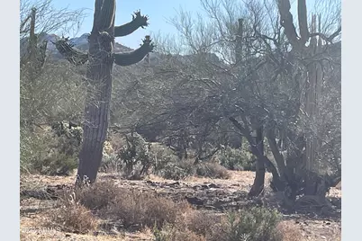 0 N Elephant Butte Road #015F aka  Lot 1, Queen Valley, AZ 85118 - Photo 4