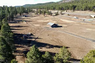 12405 Forest Service 772, Flagstaff, AZ 86001 - Photo 1