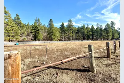 12405 Forest Service 772 -- #-, Flagstaff, AZ 86001 - Photo 2