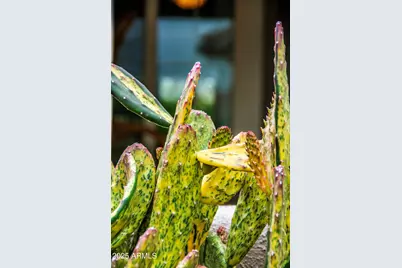 12945 W El Sueno Court, Sun City West, AZ 85375 - Photo 24