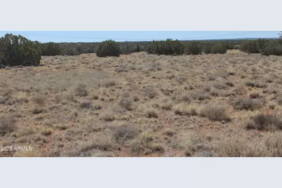 5999 Mesa View Lot 149 Drive #149, Heber, AZ 85928 - Photo 2