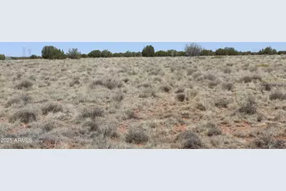 5999 Mesa View Lot 149 Drive #149, Heber, AZ 85928 - Photo 4