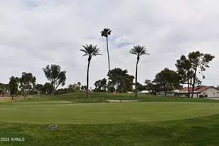 26451 S Hogan Dr, Sun Lakes, AZ 85248 - Photo 46