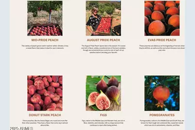 89395 E Aravaipa Road, Winkelman, AZ 85192 - Photo 70