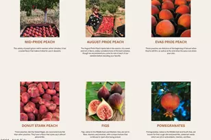 89395 E Aravaipa Rd, Winkelman, AZ 85192 - Photo 70