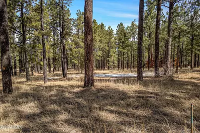 3 County Road N1062 -- #4, Greer, AZ 85927 - Photo 1