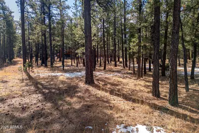 3 County Road N1062 -- #4, Greer, AZ 85927 - Photo 4