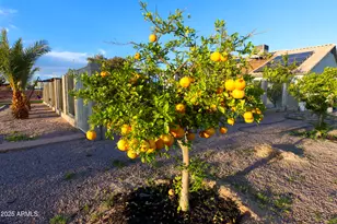 9732 N Penworth, Casa Grande, AZ 85122 - Photo 40