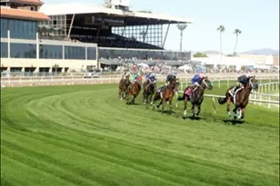 17241 N 16th Dr, Phoenix, AZ 85023 - Photo 28