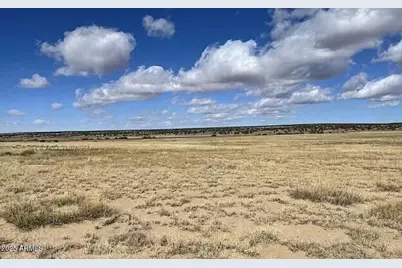 1024 County Rd N6685 -- #-, Saint Johns, AZ 85936 - Photo 6