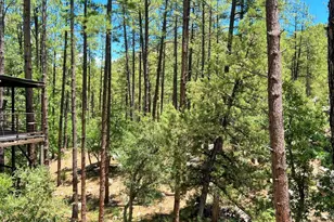 23830 S Van Tilborg Rd, Crown King, AZ 86343 - Photo 36