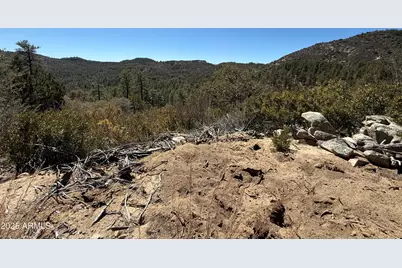 Xx E Privateer Road #-, Crown King, AZ 86343 - Photo 8
