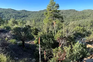 Xx E Privateer Rd, Crown King, AZ 86343 - Photo 1