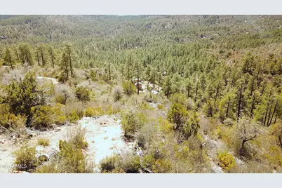 Xx E Privateer Road #-, Crown King, AZ 86343 - Photo 12