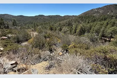 Xx E Privateer Road #-, Crown King, AZ 86343 - Photo 2