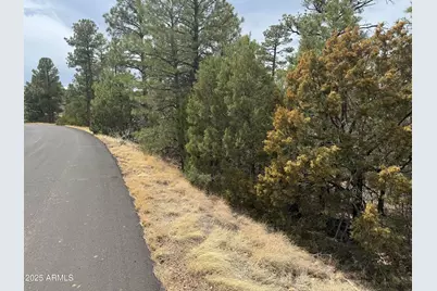 40 Timber Ridge Loop #40, Show Low, AZ 85901 - Photo 2