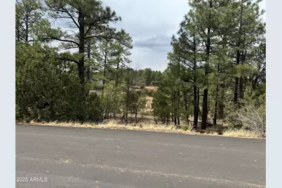 40 Timber Ridge Loop #40, Show Low, AZ 85901 - Photo 4