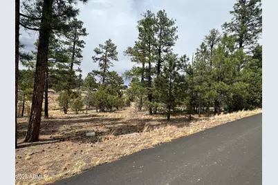 40 Timber Ridge Loop #40, Show Low, AZ 85901 - Photo 6