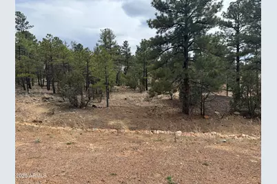 40 Timber Ridge Loop #40, Show Low, AZ 85901 - Photo 10