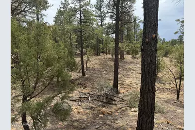 40 Timber Ridge Loop #40, Show Low, AZ 85901 - Photo 20