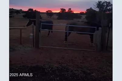 242 County Road N5427 Road, Saint Johns, AZ 85936 - Photo 46