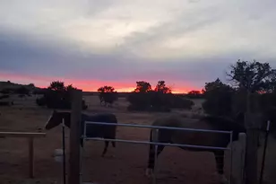 242 County Road N5427 Rd, Saint Johns, AZ 85936 - Photo 46