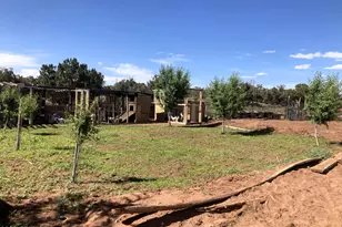 242 County Road N5427 Rd, Saint Johns, AZ 85936 - Photo 56