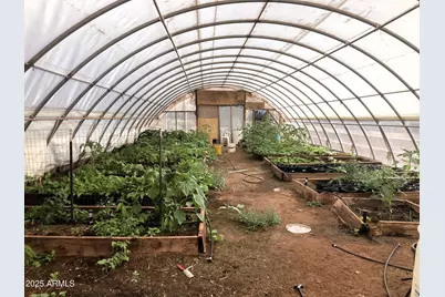 242 County Road N5427 Road, Saint Johns, AZ 85936 - Photo 58