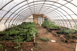 242 County Road N5427 Rd, Saint Johns, AZ 85936 - Photo 58