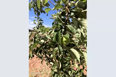 242 County Road N5427 Road, Saint Johns, AZ 85936 - Photo 52