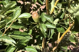 242 County Road N5427 Rd, Saint Johns, AZ 85936 - Photo 48