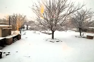 242 County Road N5427 Rd, Saint Johns, AZ 85936 - Photo 40