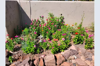 242 County Road N5427 Road, Saint Johns, AZ 85936 - Photo 44