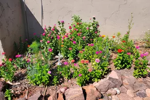 242 County Road N5427 Rd, Saint Johns, AZ 85936 - Photo 44