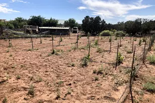 242 County Road N5427 Rd, Saint Johns, AZ 85936 - Photo 54