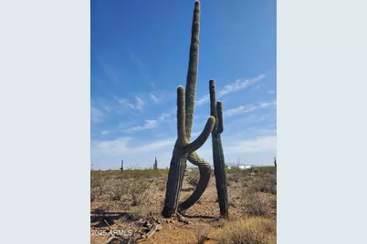 43513 N 261st Avenue, Morristown, AZ 85342 - Photo 18