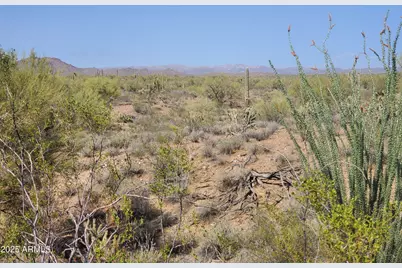 43513 N 261st Avenue, Morristown, AZ 85342 - Photo 14