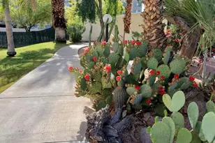 4330 N 5th Ave, Phoenix, AZ 85013 - Photo 30