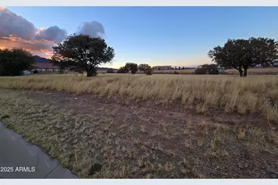 Tbd Saddlehorn -- #10, Hereford, AZ 85615 - Photo 6