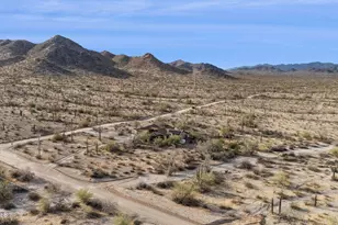 54322 W Dune Shadow Rd, Maricopa, AZ 85139 - Photo 54