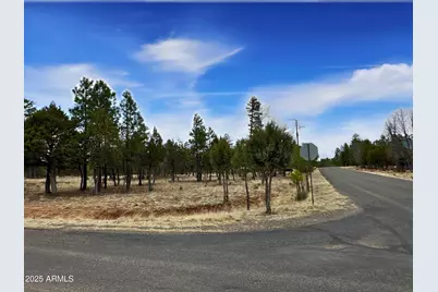 2120 Aztec Circle #171, Happy Jack, AZ 86024 - Photo 4