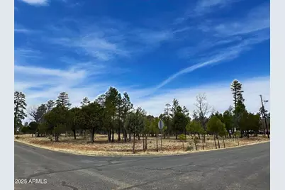 2120 Aztec Circle #171, Happy Jack, AZ 86024 - Photo 2