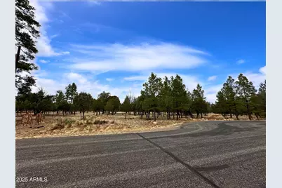 5823 Cripple Creek #259, Happy Jack, AZ 86024 - Photo 2