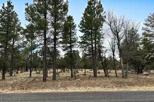 3431 Durango Dr, Happy Jack, AZ 86024 - Photo 1