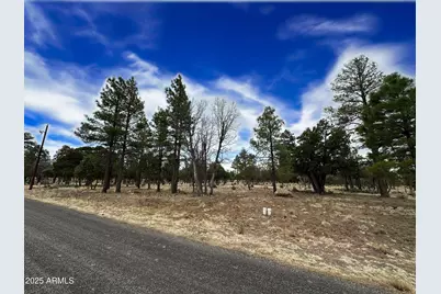 3431 Durango Drive #205, Happy Jack, AZ 86024 - Photo 4